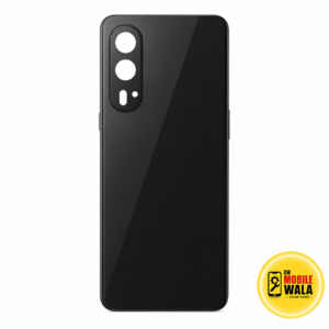 OnePlus 1+10P Back Glass Panel Replacement